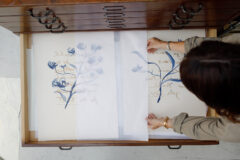 Caroline tomlinson draws