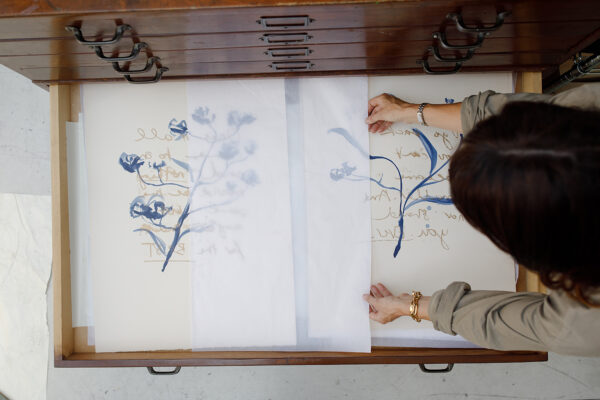 A person places a protective sheet over botanical illustrations, including Caroline Tomlinson’s "You can't go back, you can't become smaller and nor should you. EVER." original painting, stored in a plan chest drawer.