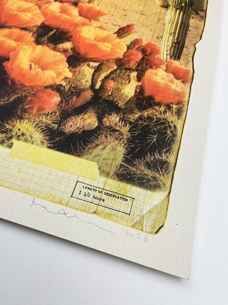 MAXINE GREGSON Desert Road screen print cmyk01