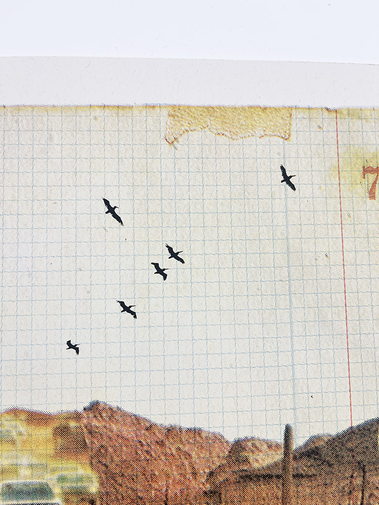 MAXINE GREGSON Desert Road screen print cmyk03