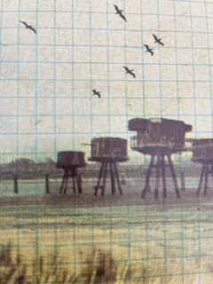 MAXINE GREGSON ‘paper planes’ screen print cmyk 04