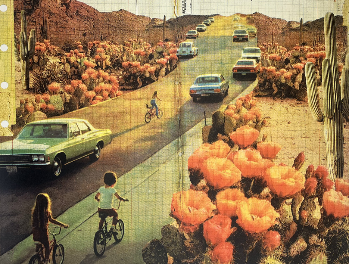 Children ride bicycles on a desert road lined with blooming cacti as several cars drive by—a scene reminiscent of Print Club London Limited Edition Art, perfect for fans of unique and affordable screen prints and artwork.