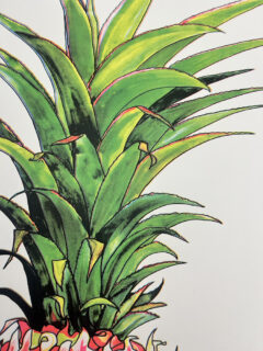 Andrew mcgregor Nanus pink pinapple Screenprint 01