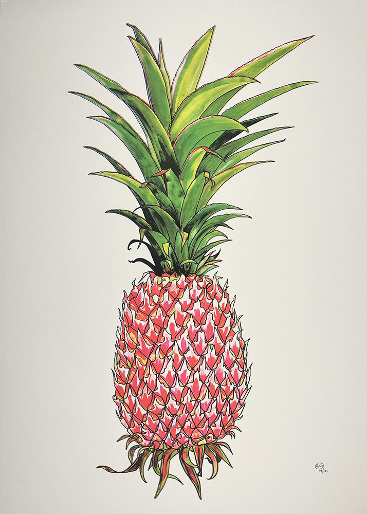 Illustration of the Nanus Pink Pineapple, featuring green spiky leaves and a textured, pinkish-brown outer skin, on a plain white background.