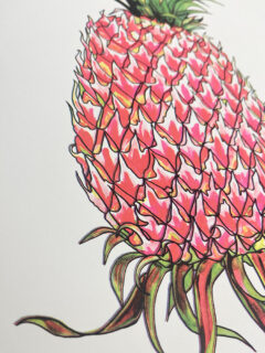 Andrew mcgregor Nanus pink pinapple Screenprint 03