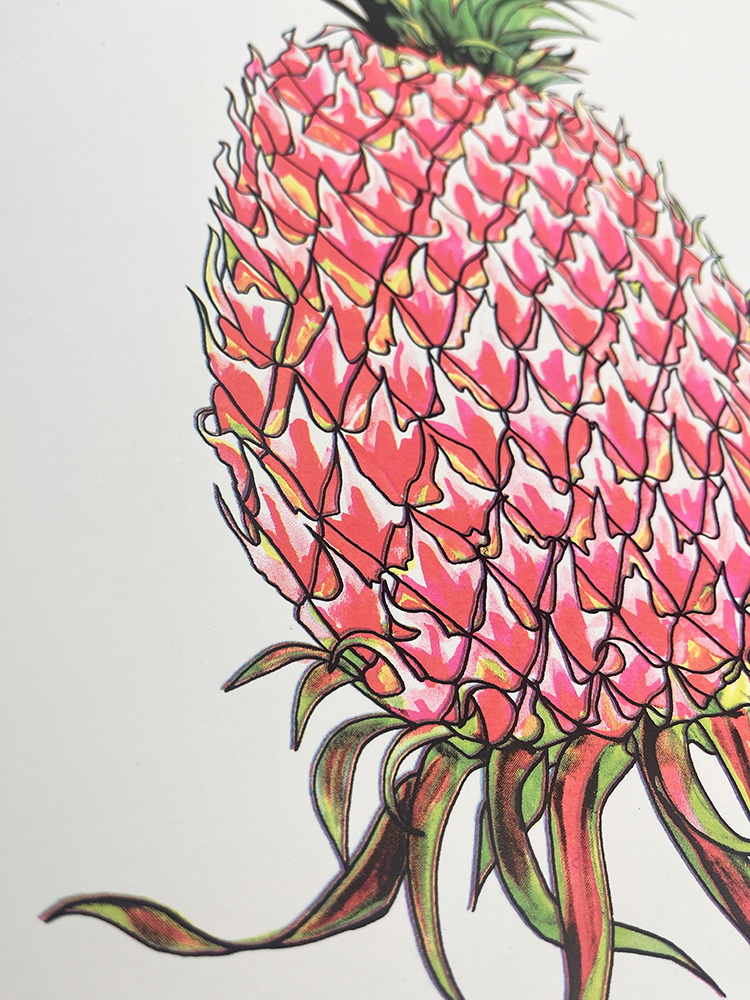 Andrew mcgregor Nanus pink pinapple Screenprint 03