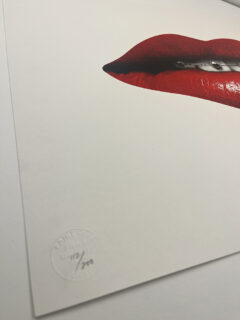 Cassandra Yap Lip Bite , skull and braces screen print 02