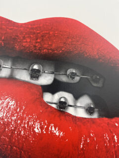 Cassandra Yap Lip Bite , skull and braces screen print 04
