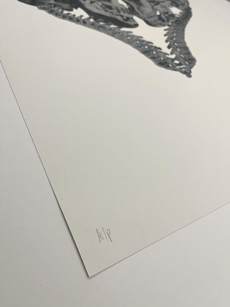 Cassandra Yap Till Death (silver) Artist Proof screen print 01