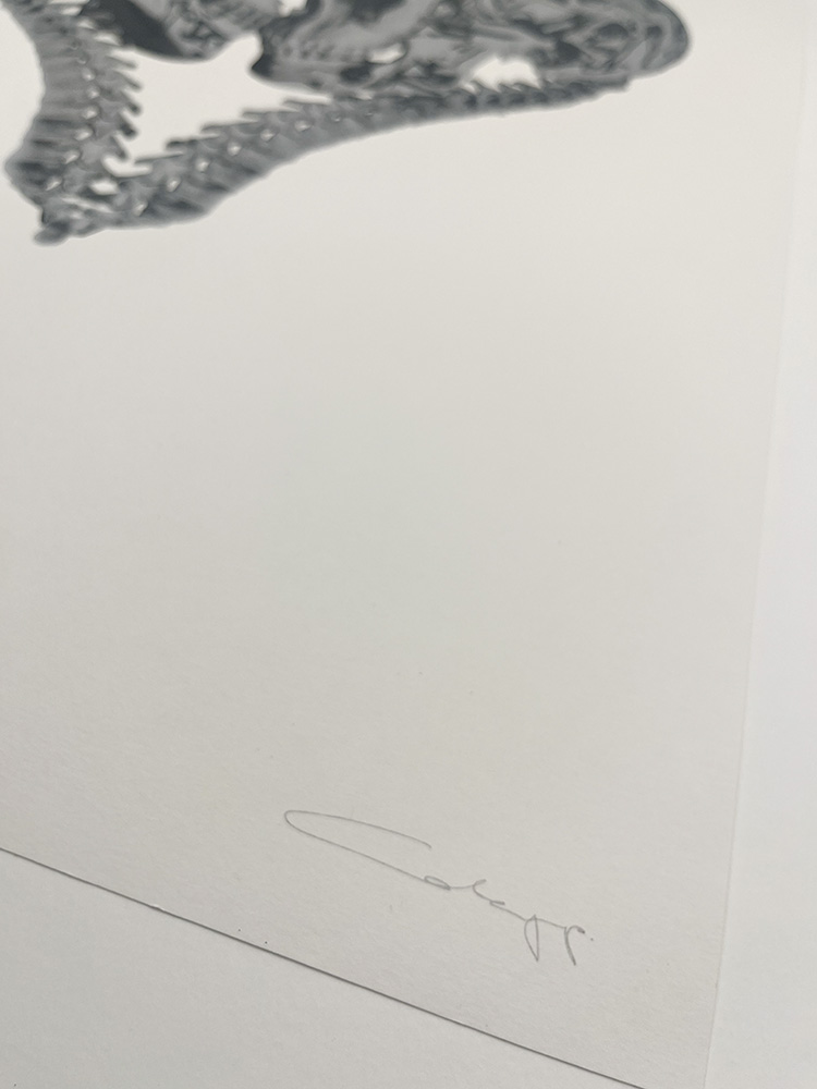 Cassandra Yap Till Death (silver) Artist Proof screen print 02