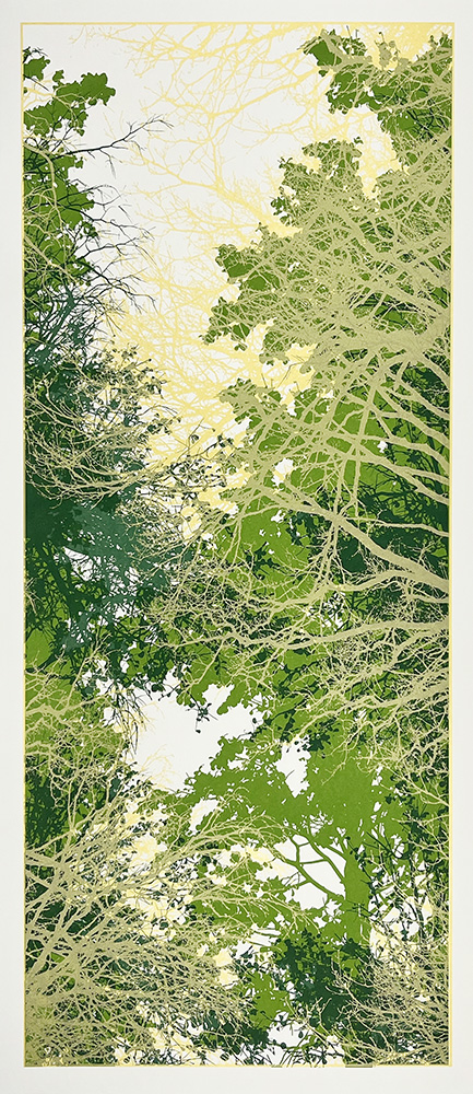 View from below of dense tree branches with green leaves and sunlight filtering through against the sky.
