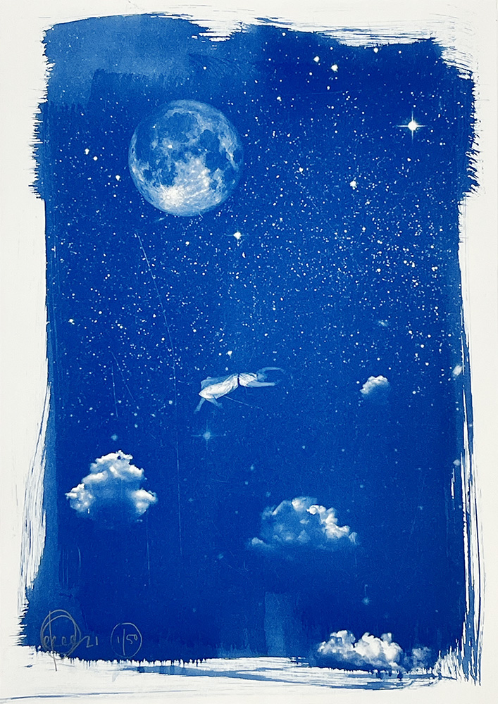 Blue-toned illustration with the moon, stars, clouds, and a flying insect in a night sky, framed by white borders.
