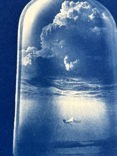 Craig Keenan Falling in a bottle – Mini cyanotype01