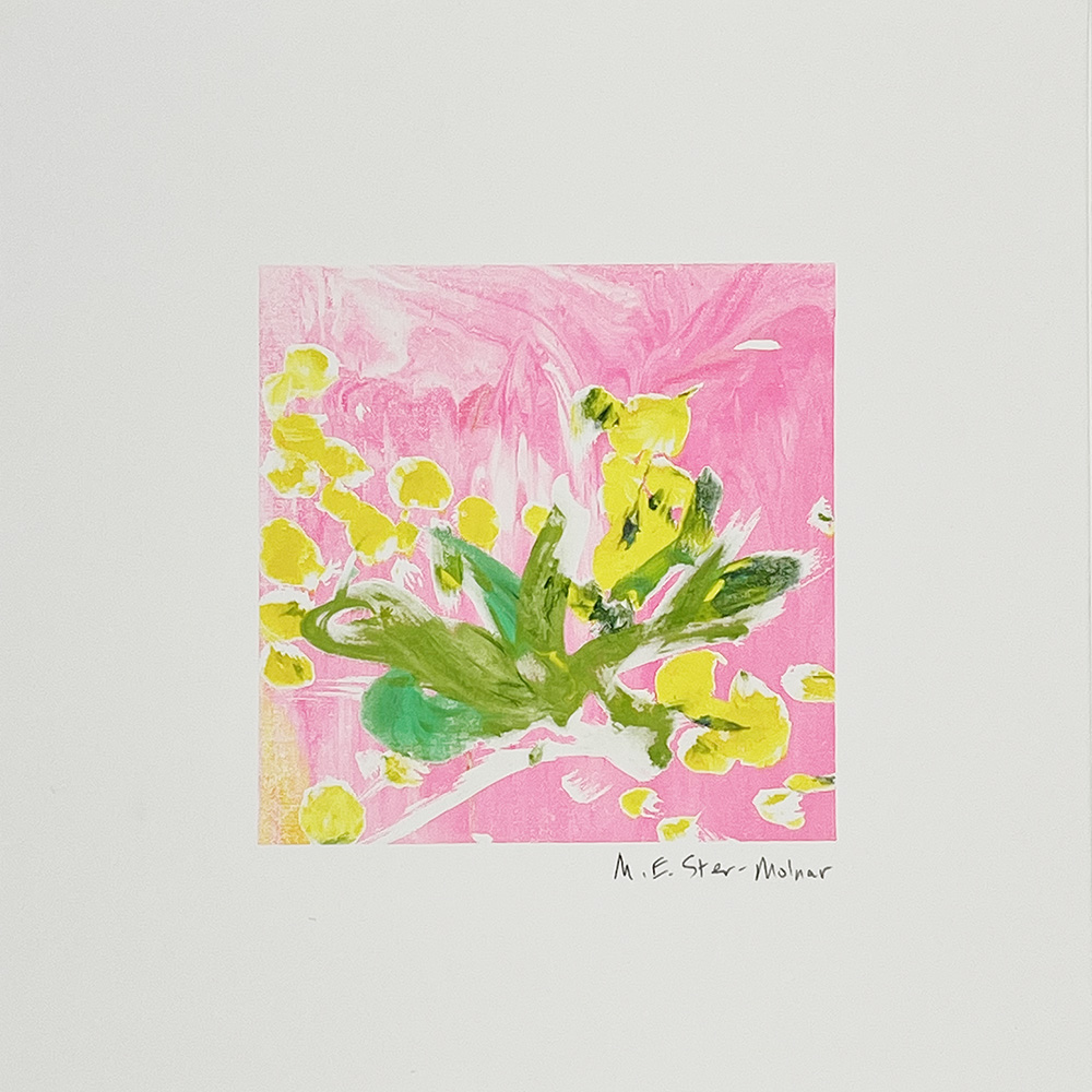 Abstract monoprint with a pink background, green and yellow brushstrokes, and the signature “M.E. Star-Mohar” at the bottom.