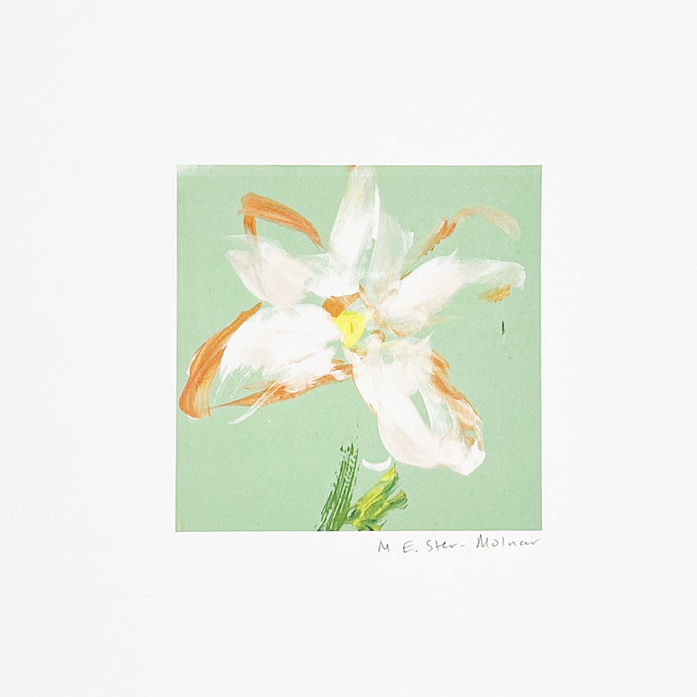 A white flower with orange details and a yellow centre on a pale green background, signed “M. E. Ster Molnar” at the bottom.